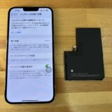 iPhone13Promax